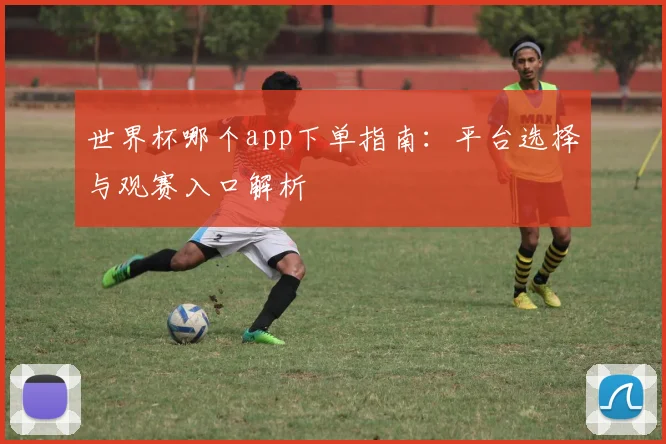 世界杯哪个app下单指南：平台选择与观赛入口解析