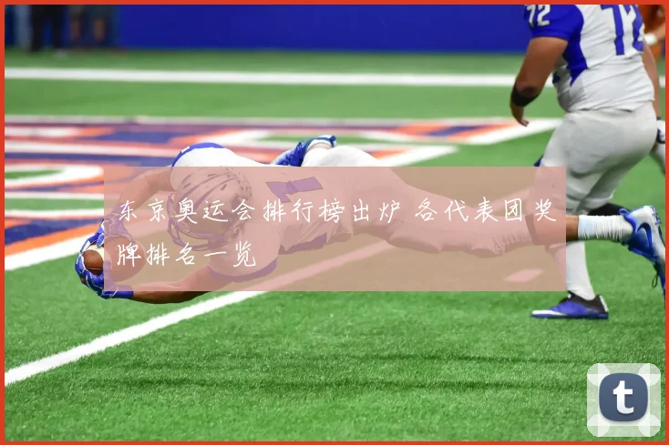 东京奥运会排行榜出炉 各代表团奖牌排名一览