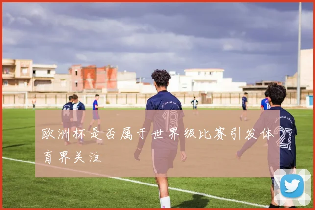 欧洲杯是否属于世界级比赛引发体育界关注